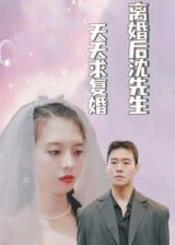 离婚后沈先生天天求复婚（100集） 高清完整版