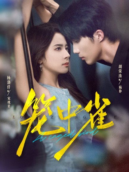 笼中雀（65集）胡荣涛＆杨洛仟 高清完整版