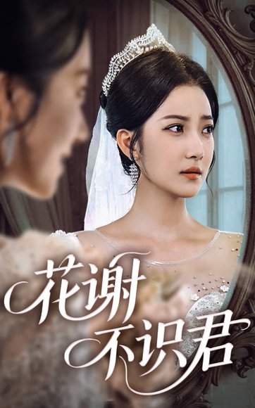 花谢不识君（40集）段文鹏＆贾金赛 高清完整版