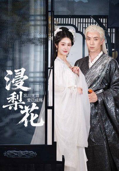 浸梨花（50集）傅汉源&戴琪萱 高清完整版