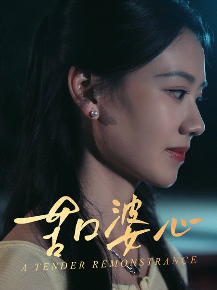 苦口婆心（50集）王艳秋 高清完整版