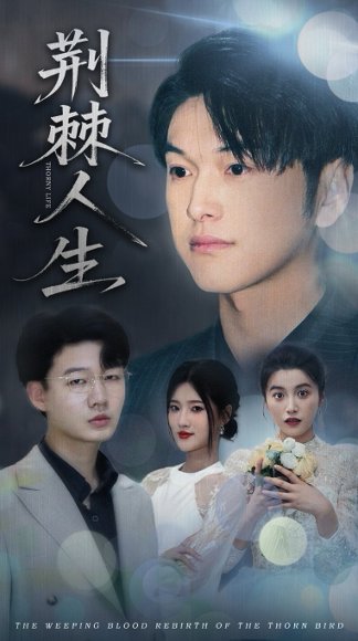 荆棘人生（74集）陈馨雨&胥宁轲 高清完整版