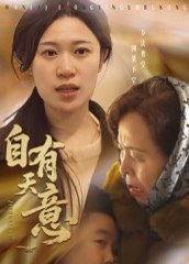 自有天意（35集） 高清完整版