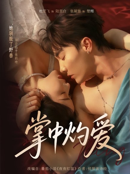 掌中灼爱（62集）杜亚飞＆张凝慈 高清完整版