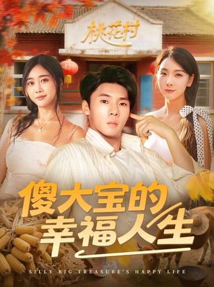 傻大宝的幸福人生（80集） 高清完整版