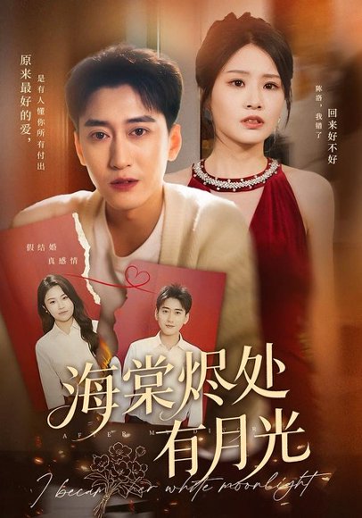 海棠烬处有月光（70集）张佳艺&常子轩 高清完整版