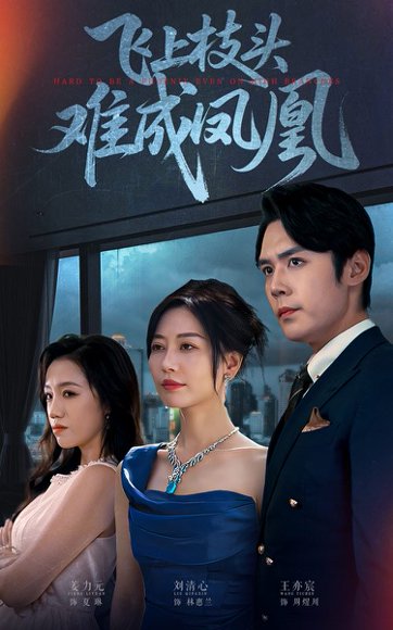 飞上枝头难成凤凰（47集）刘清心&王亦宸 高清完整版