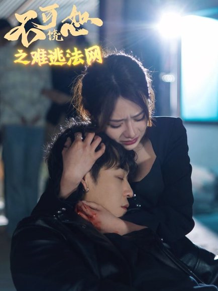 不可饶恕之难逃法网（20集）杨洪 高清完整版